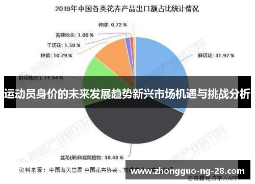 运动员身价的未来发展趋势新兴市场机遇与挑战分析 运动员身价的未来发展趋势新兴市场机遇与挑战分析